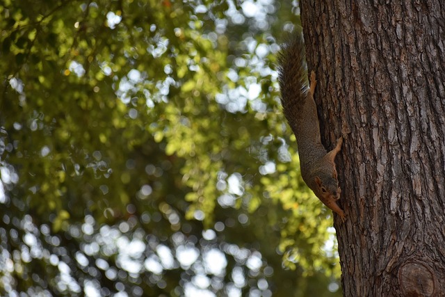 场情绪跌宕 场情绪跌宕