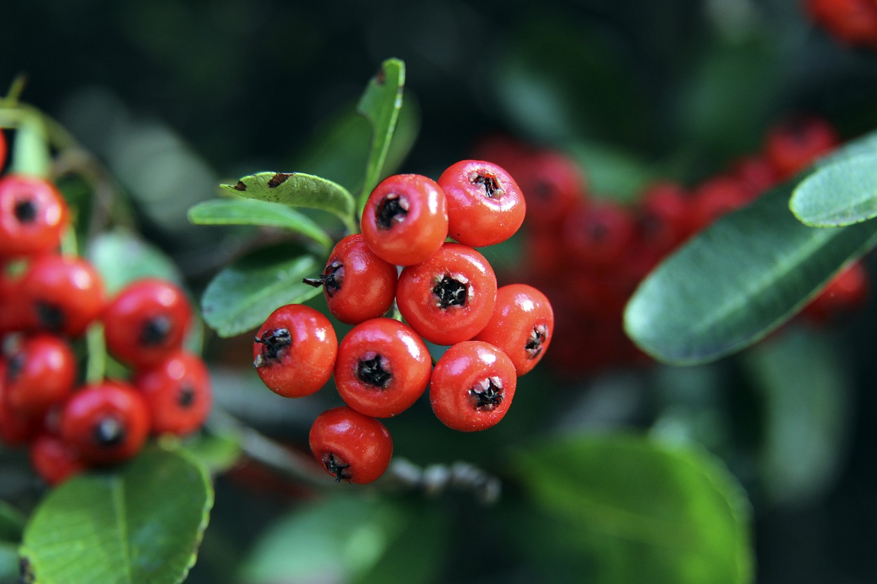 疑是广州恒 疑是广州恒