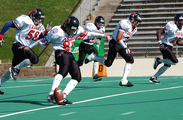 风格的融合 风格的融合